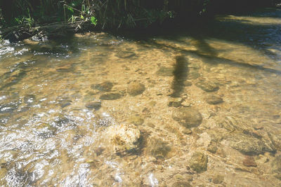 High angle view of shadow on water