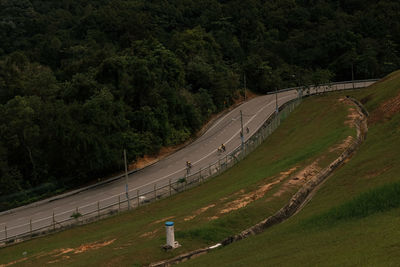 High angle view of road amidst trees