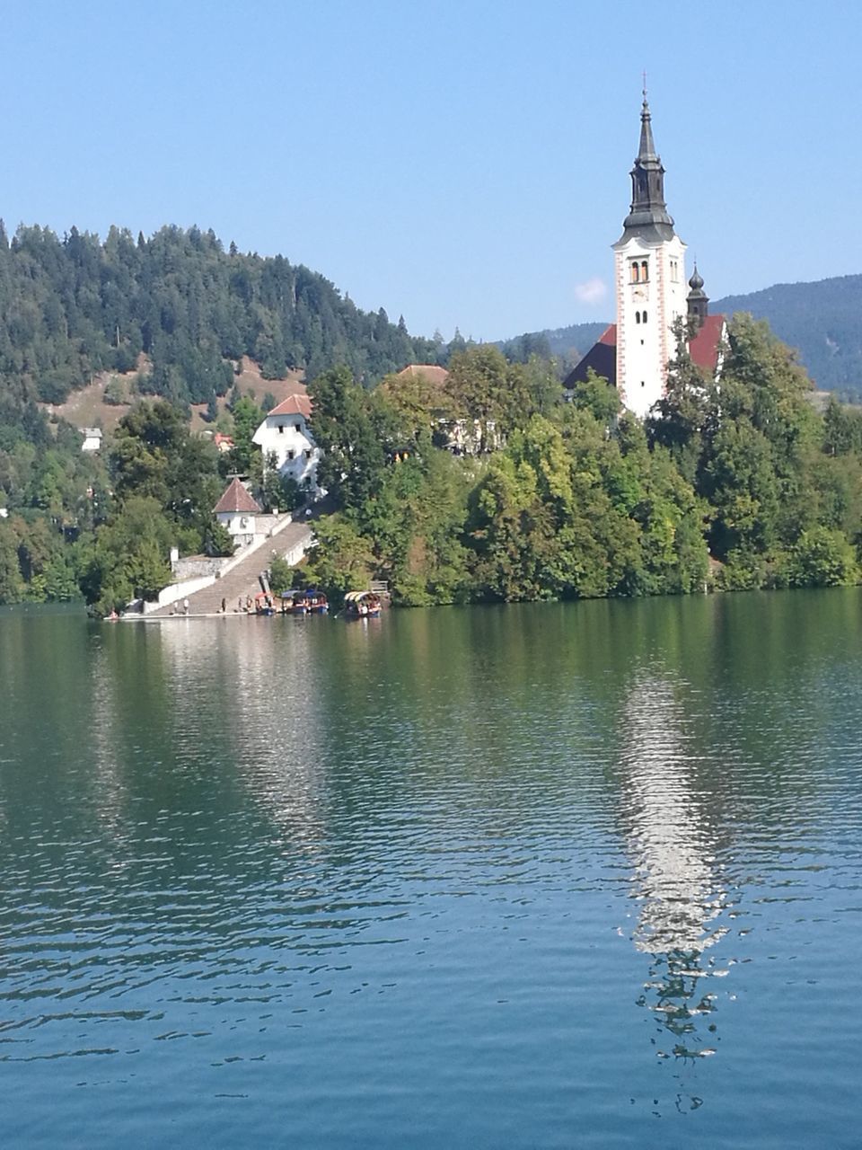 VIEW OF BUILDINGS AND TREES AT WATERFRONT