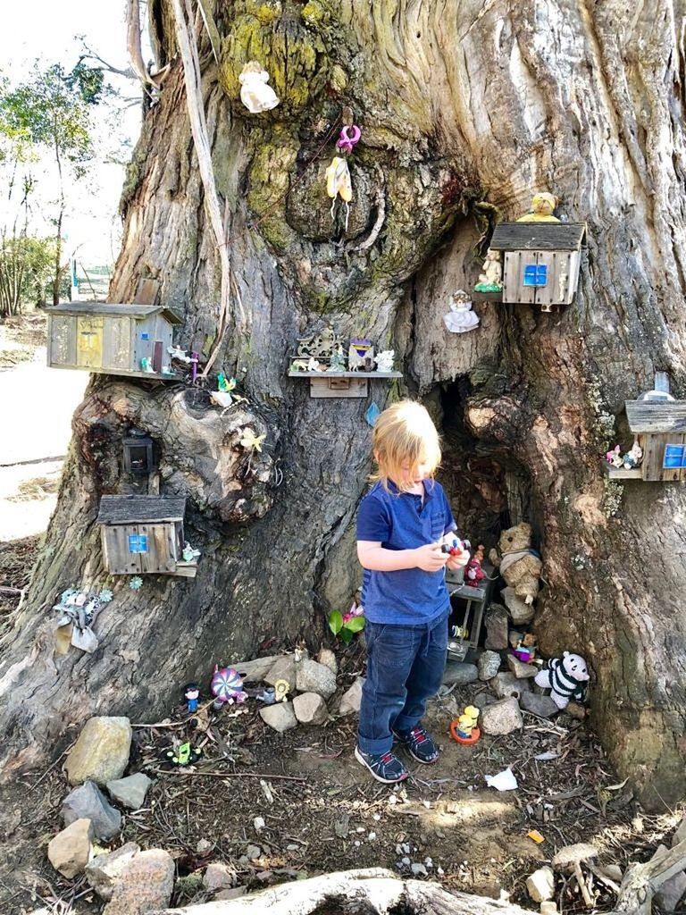 real people, full length, one person, childhood, day, tree, casual clothing, child, lifestyles, nature, architecture, built structure, women, females, leisure activity, rock, solid, outdoors, innocence, messy, hairstyle