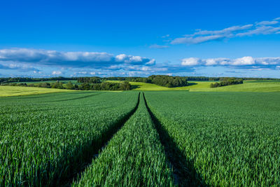 Scenic view of tramlines in agricultural field against sky