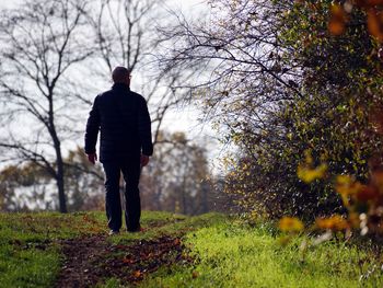 Rear view of man walking by trees