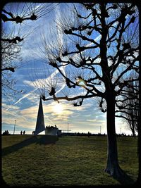 Silhouette tree on field against sky