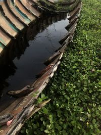 High angle view of lake amidst trees