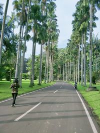 Road amidst trees against sky