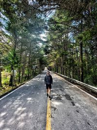 Rear view of man walking on road amidst trees