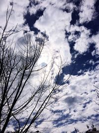 Low angle view of tree against sky