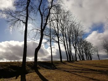 Bare trees on field against sky