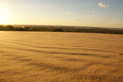 Scenic view of field against sky during sunset