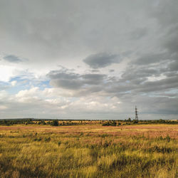 Scenic view of field against sky