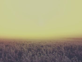 Scenic view of landscape at sunset