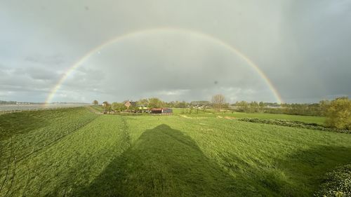 rainbow