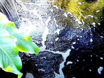 Close-up of water drops on leaf