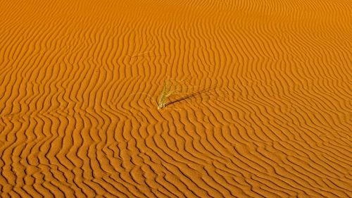 Full frame shot of sand