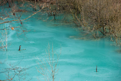 Turquoise waste waters from a copper mine polluting the environment. geamana decantation lake