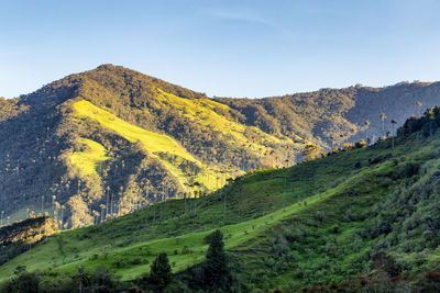 Scenic view of mountains against clear sky