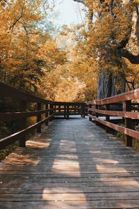 Footbridge in forest during autumn