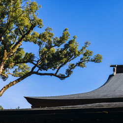Low angle view of tree and building against clear blue sky