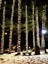 Illuminated christmas tree in winter