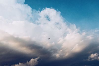 Low angle view of bird flying against sky