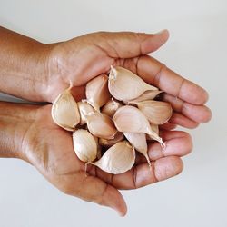 Directly above shot of person holding apple against white background