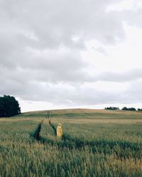 Scenic view of field against cloudy sky