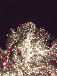 Firework display at night