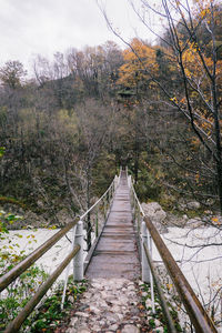 Footbridge amidst trees in forest