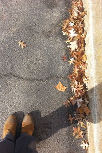 Low section of people walking on road