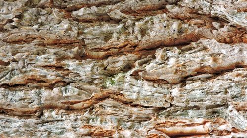 Full frame shot of stone wall