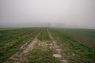Scenic view of field against sky during foggy weather