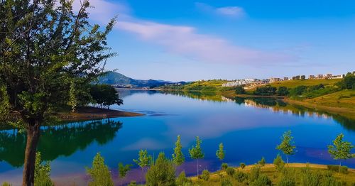 Scenic view of lake by trees against sky