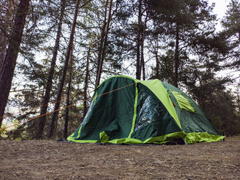 Camping tent in a forest