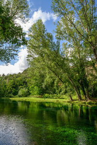 Scenic view of lake in forest against sky