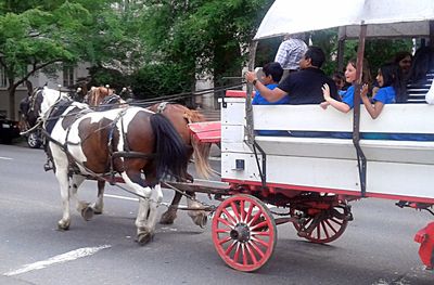 Horse cart on road