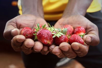 Close-up of cropped hand holding fruit