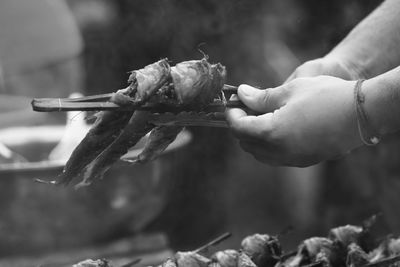 Close-up of person holding leaf