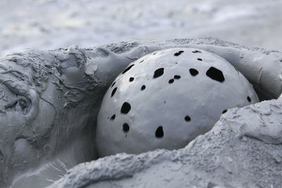 High angle view of ball on snow