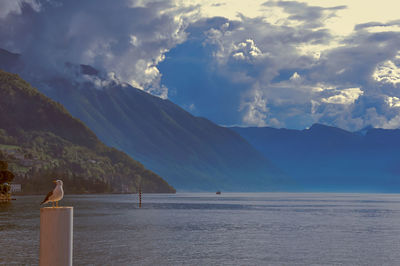 View of lake como in a cloudy day with bird on a pole in bellagio. a charming village in italy.