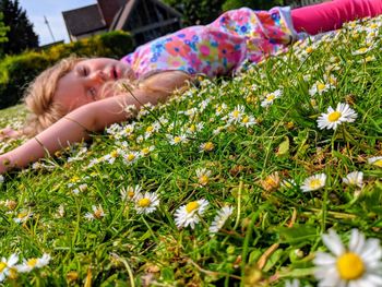Side view of girl lying down on flowering field