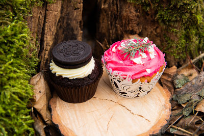 Close-up of cupcakes on wood against trees