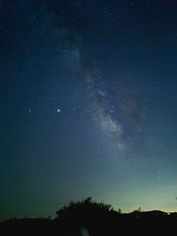 Low angle view of silhouette trees against star field at night