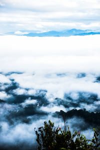 Low angle view of clouds in sky