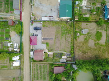 High angle view of trees and buildings in city