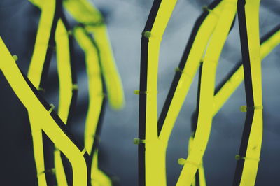 Close-up of yellow umbrella