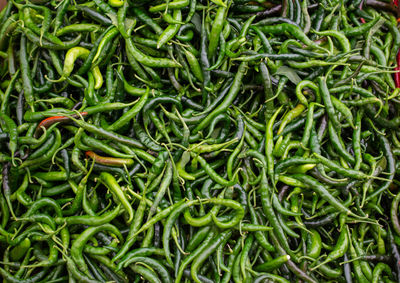 Full frame shot of green chili peppers