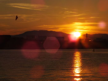 Silhouette bird on shore against orange sky