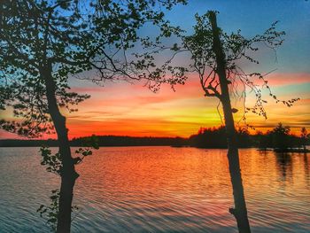 Silhouette tree by lake against sky during sunset