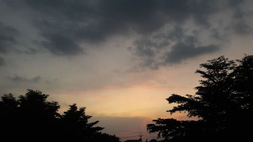 Low angle view of silhouette trees against sky during sunset