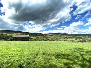 Extensive meadow, with farm buildings, trees, fields, and distant hills in, bishopdale, leyburn, uk
